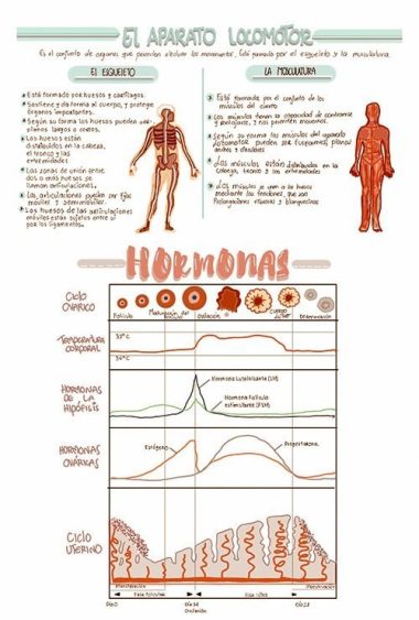 19-Biologia-Armmonias-min.jpg